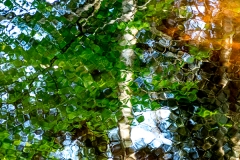 langevin-abstract-0269