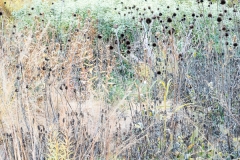 langevin-abstract-090107