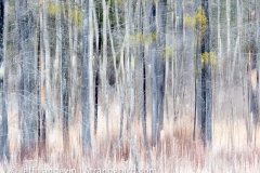 langevin-abstract-2200310