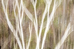 langevin-abstract-2200320