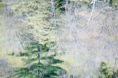 langevin-abstract-5200191