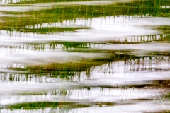 langevin-abstract-7010658