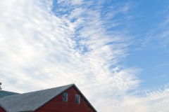 Langevin-Jeff_Farms-1025