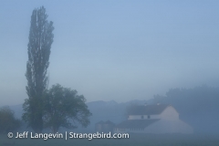 Langevin-Jeff_Farms-2533