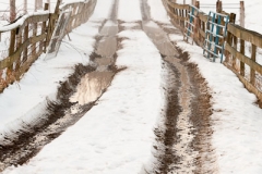 Langevin_Jeff-Farm-0751
