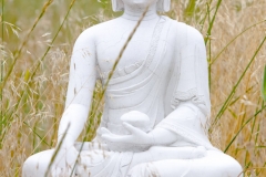 Langevin-Jeff_Garden-Of-1000-Buddhas-7788