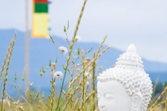 Langevin-Jeff_Garden-Of-1000-Buddhas-7794
