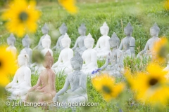 Langevin-Jeff_Garden-Of-1000-Buddhas-8457