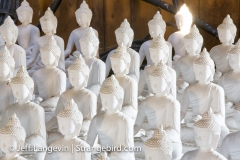 Langevin-Jeff_Garden-Of-1000-Buddhas-8511