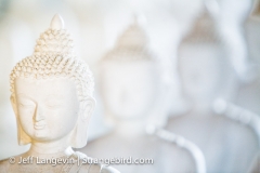 Langevin-Jeff_Garden-Of-1000-Buddhas-8521