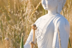 c46-Langevin-Jeff_Garden-Of-1000-Buddhas-8468
