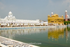 Langevin-Jeff_India-1018
