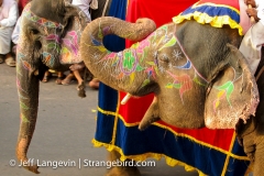 Langevin-Jeff_India-2277