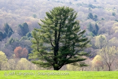 Langevin-Jeff_Nature-0348