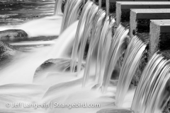 Langevin-Jeff_Nature-3357