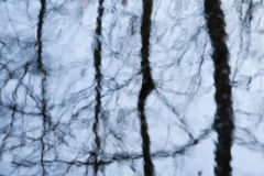 Langevin-Jeff_Nature-9543
