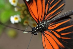 Langevin-Jeff_Nature-9899