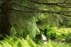 langevin-nature-0403