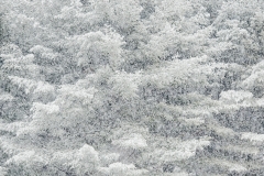 langevin-nature-2200220