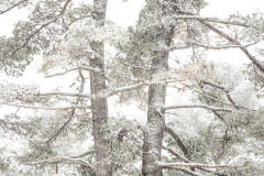 langevin-nature-2200272