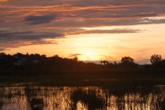 langevin-nature-3222