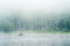 langevin-nature-7010311